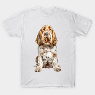 Grand Basset Griffon Vendeen T-Shirt